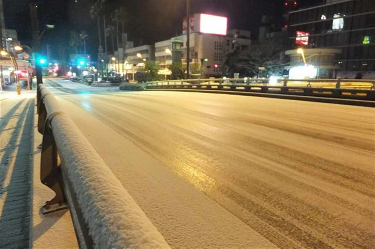 徳島市　雪　2016年1月24日