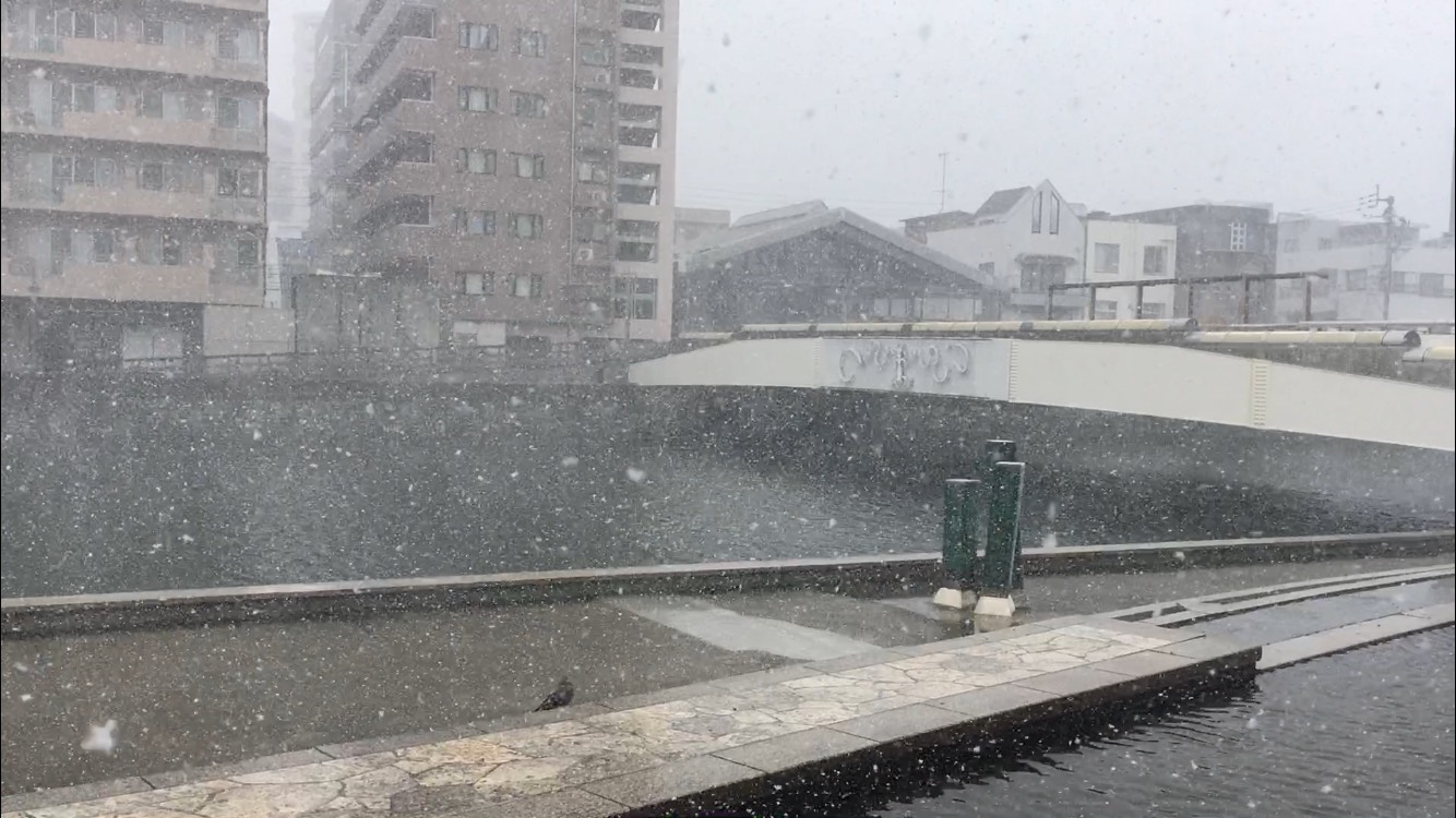 徳島市　雪