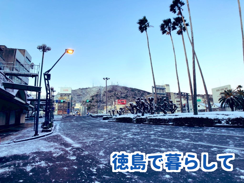 徳島　雪　2022年2月17日