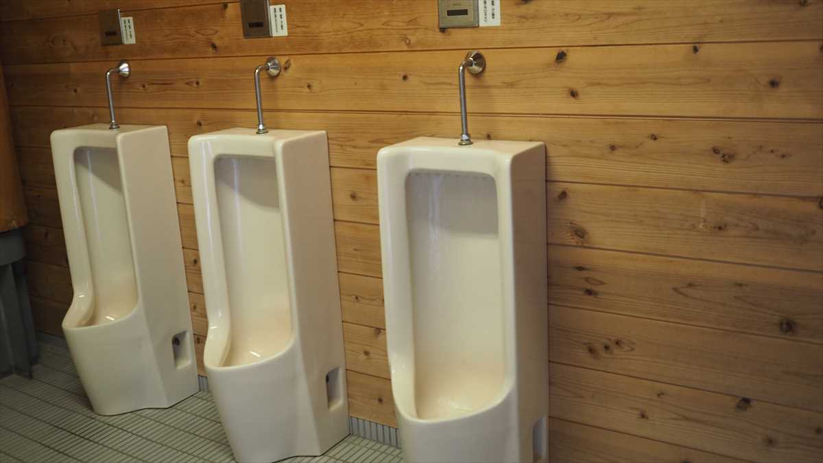 祖谷ふれあい公園　トイレ　祖谷のトイレ　綺麗