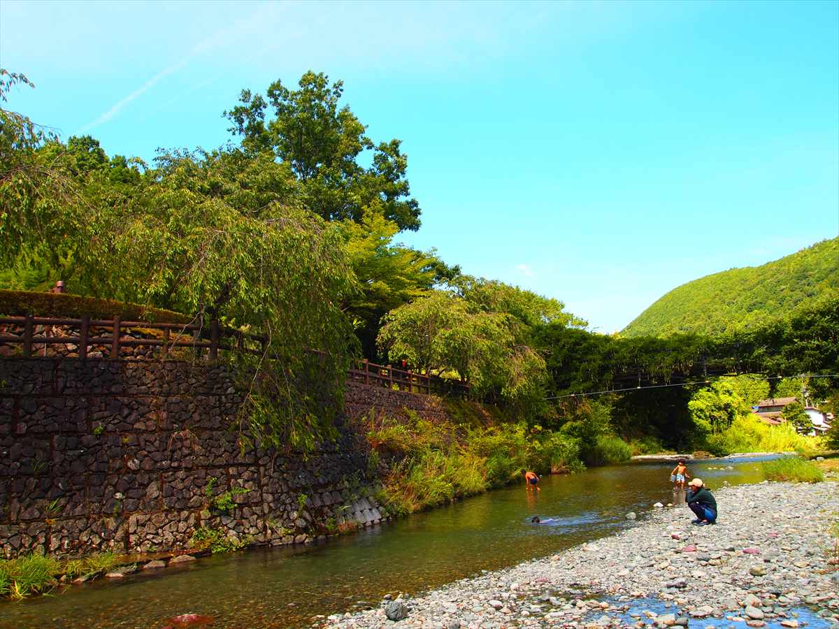 神山温泉　農村ふれあい公園　徳島県神山町　川遊び　吊り橋