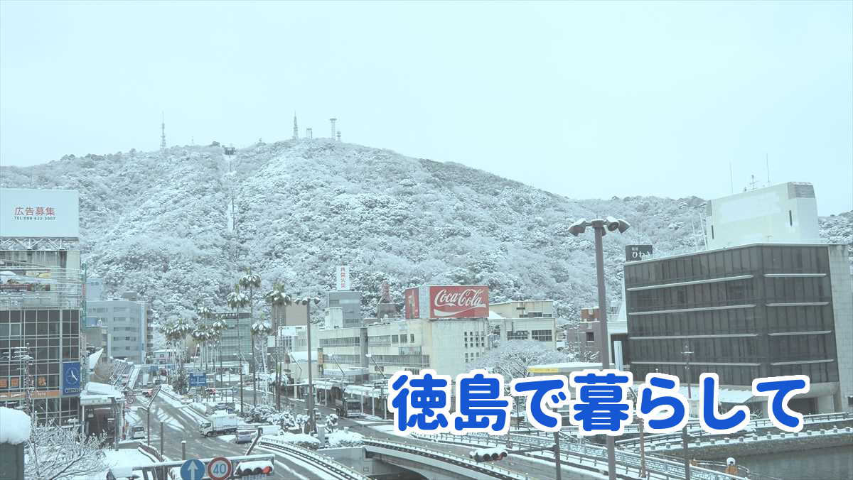 2022年12月23日徳島市積雪。眉山が雪化粧。午前11時25分頃